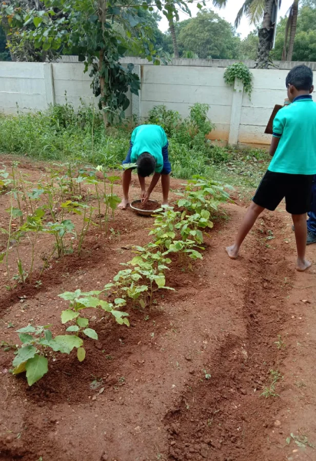 Life Readiness in Dobbs Public School